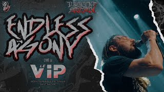 ENDLESS AGONY - LIVE @LE VIP - ST NAZAIRE - 4K - [FULL SET - MULTI CAM] 12/04/2024