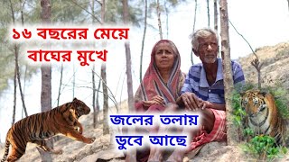 ১৬ বছরের মেয়ে বাঘের ভয়ে জলের তলায় ডুবে আছে | পিঠে আঁচড় | Dangerous Tiger Attack Events | Sundarban