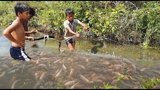 Amazing Catch Fish only 10 minutes - Fishing to get fish for 10 minutes