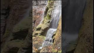 A Look at Emilie Jonas Falls New York! #shorts #shortsfeed #waterfall