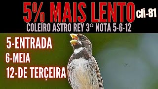 COLEIRO ASTRO REY 3º NOTA 5-6-13 5% MAIS LENTO #cli-81)