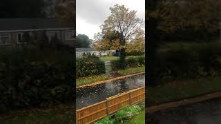 Rain 🌧 windy ⛈ cold 🥶 autumn 🍂 today’s extreme weather in UK 🇬🇧 #shorts #UkWeather