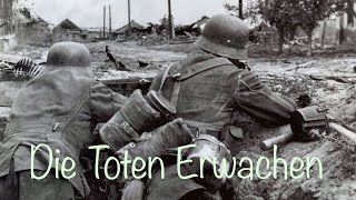 Die Toten Erwachen