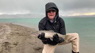 Risen Fly Fishing Pyramid Lake, NV 2021