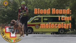 CNSAS - Blood Hound, i cani molecolari