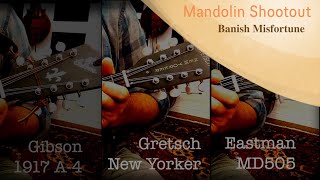 Mandolin Shootout |1917 Gibson A-4 | Eastman MD505 | Gretsch New Yorker