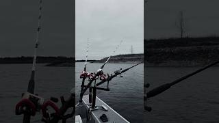 Searching for ice out cats #fishing #catfishing #bluecatfish