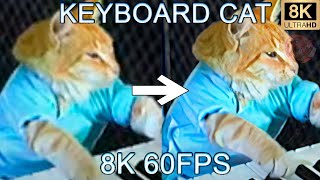 KEYBOARD CAT 8K 60 FPS (УЛУЧШЕННЫЙ МЕМ)🎹🎹🎹