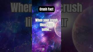 CRUSH FACT #facts #shorts