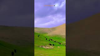 Sarepul Afghanistan 🇦🇫🤭