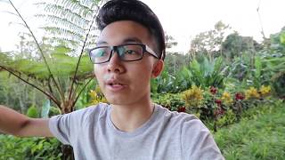 LEBARAN KE BALI NGAPAIN AJA ? VAPE DI HUTAN ? - VLOG FHR #13.1