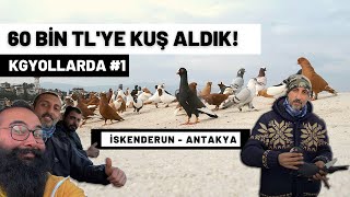 60 BİN TL'YE KUŞ ALDIK: MALİ GÜNEŞ - ÜMİT DENLİ #KGYOLLARDA