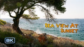 Sea ​View at Sunset 🌅 Real Sounds & Passing Ships ⛵ No Loop 📺 8K