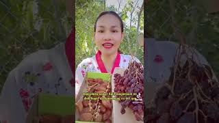 GIẢI PHÁP BỔ SUNG TỰ NHIÊN CANXI VÀ SẮT 0977525390