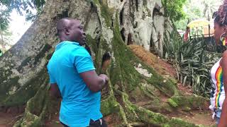 Exploring Aburi Botanical Garden