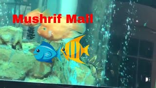 Mushrif Mall & Aquarium/ Attractions  to Visit in Abu Dhabi-UAE