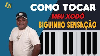 ✅Vídeo Aula Como Tocar (Biguinho Sensação) MEU XODÓ Aula De Teclado🎬🎹