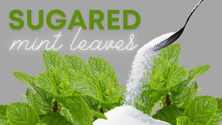 Sugared Mint Leaves