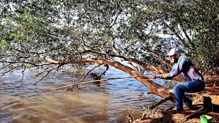 PACU GIGANTE , PIAPARA MOSNTRA , A CEVA DE BARRANCO TAVA BOMBANDO /PESCARIA DE BARRANCO EM CEVA.