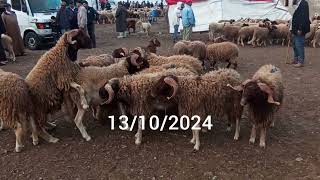 أتمنة الخروف بسوق الاحد تطوان 🐑🐏||13/10/2024||0667128425❤️🔥🇲🇦