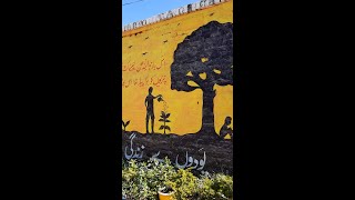 Uncovering the Unique Painted Walls of Pind Sultani Village | #shortsvideo #youtubeshorts #viral