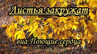 Пoющиe cepдцa-  Листья закружат- караоке