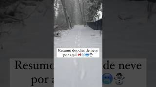 Muita NEVE aqui no CANADÁ | PEDRO MAIA #pedromaia #intercambionocanada