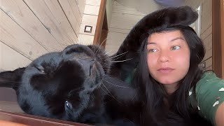 Checking out the new house with Luna the panther😸 Uninvited guests in the new house🙈(ENG SUB)