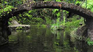 Brücke im Park