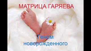 Геном Новорожденного Матрица Гаряева  Newborn Genome Matrix Garyaev