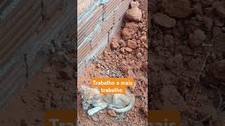 Trabalho não para #viralvideo #obra #sitiodozero #pedreiro #sitiocomatividades #construção #humor