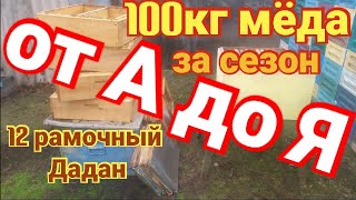 100кг мёда за сезон. От А до Я. Работа в 12 рамочном улье .