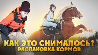 VLOG: Бекстейдж СЪЕМКА КЛИПА с конем / РАСПАКОВКА кормов / Прогулка с Харди