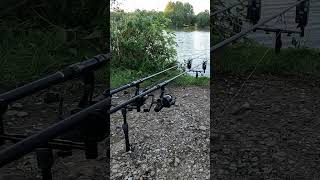 Carp run on the Delkims (81)#carpfishing #carp #carpfish #carpbites&runsuk