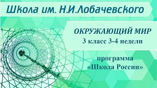 Окружающий мир 3 класс 3-4 недели. Что изучает экология