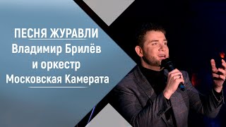 Владимир Брилёв И Оркестр Московская Камерата - Журавли