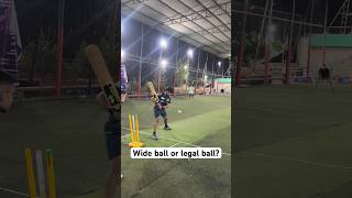 Turf Cricket | #cricketshorts #youtubeshorts #shorts #t20worldcup #trending