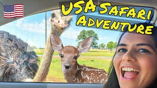 गाड़ी से बिना निकले किये Wildlife Drive-Through SAFARI के मजे || US मे दिखा Bengal Tiger #ThemePark