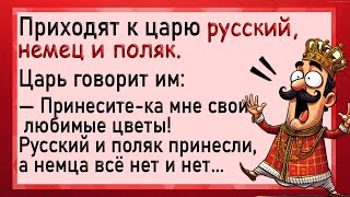 Приходят к царю русский, немец и поляк с цветами! Анекдоты. Юмор