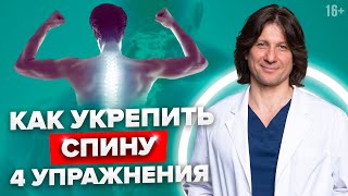 Как укрепить мышцы спины? 4 лучших упражнения для укрепления мышц спины //16+