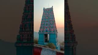 Subramanya Swamy Temple at Tirunelveli Tamilnadu #shorts  #paddufamilyvlogs