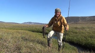 Одна через Чукотку.  Часть 10. Тундра без прикрас. Alone through Chukotka.10.Tundra with...