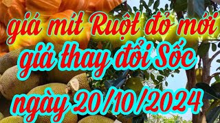 giá mít ruột đỏ hôm nay ngày 20/10/2024