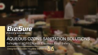 HORECA Food Safety Intro【BioSure Professional】