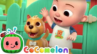 Bingo Is His Name-O + More | Cocomelon| Cartoons for Kids | Childerns Show | Fun Mysteries Friends