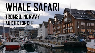 Whale Safari | Tromso | Norway | Arctic Circle