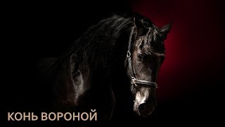 Иван Кучин  - Конь Вороной