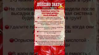 ПОЛЕЗНО ЗНАТЬ! Томатные хитрости #shorts