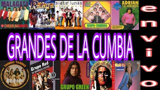 clasicos  de la cumbia en vivo