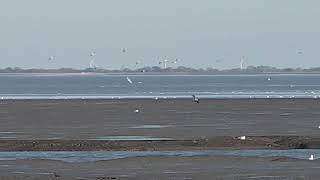 Nationalpark Wattenmeer